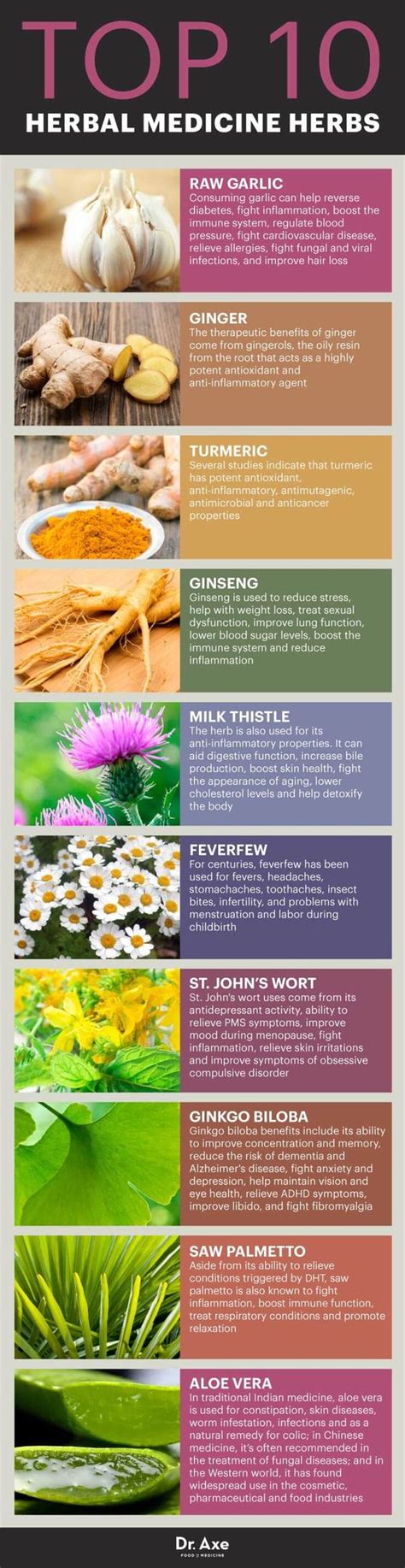 herbal medicine list and uses.